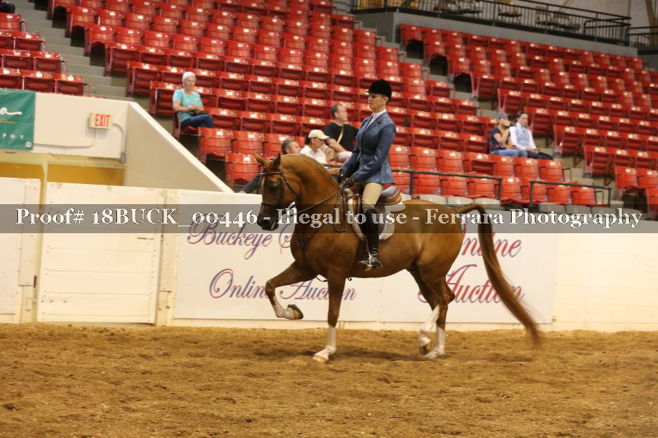 Proof 18BUCK_00446