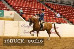 18BUCK_00446 proof