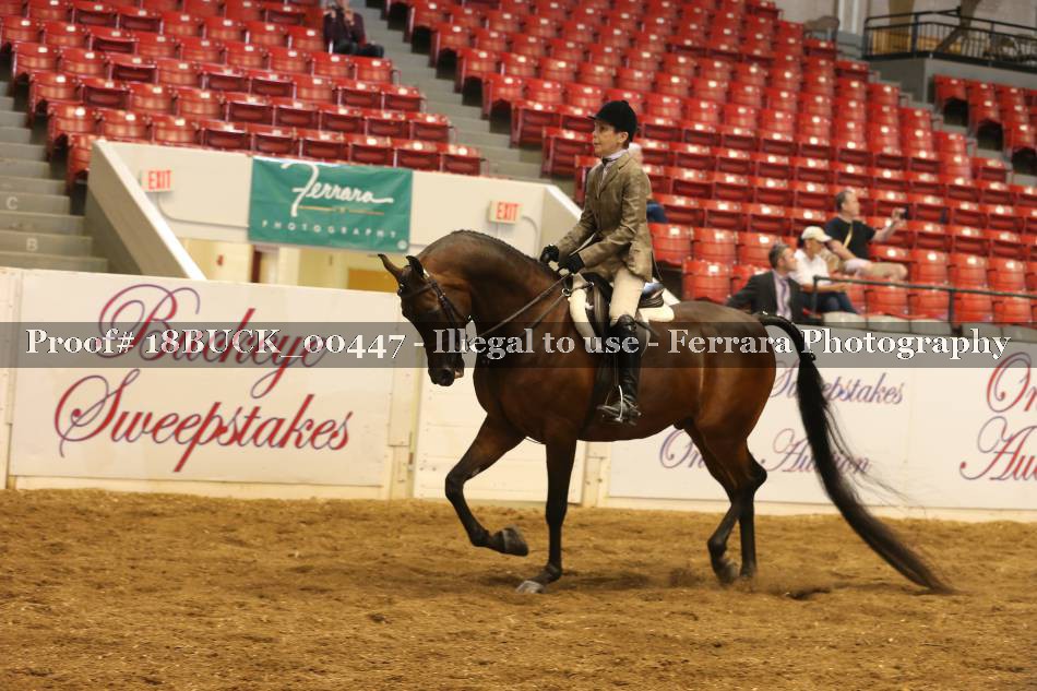 Proof 18BUCK_00447