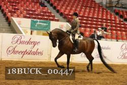 18BUCK_00447 proof
