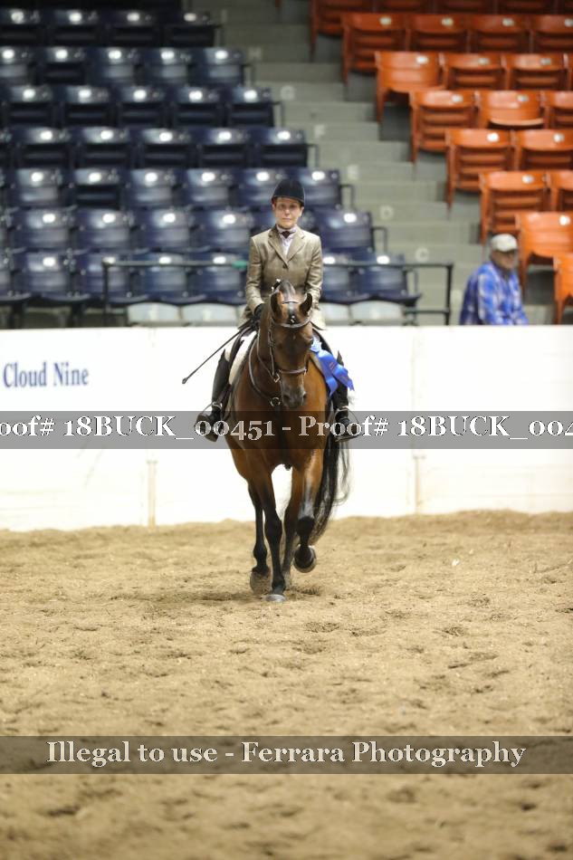 Proof 18BUCK_00451
