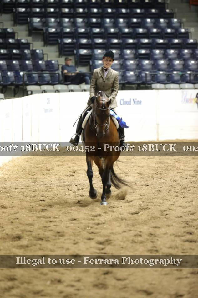 Proof 18BUCK_00452