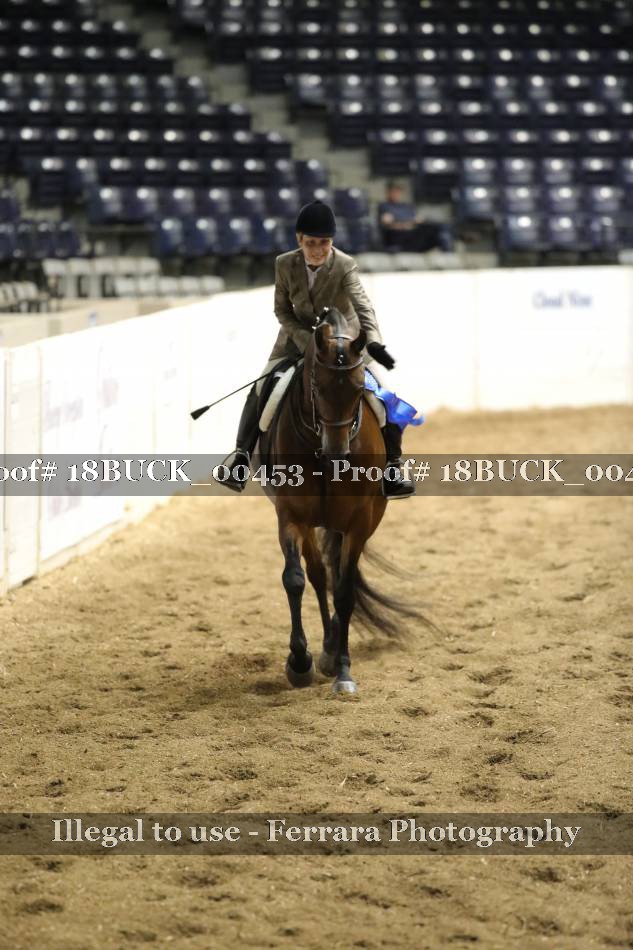 Proof 18BUCK_00453