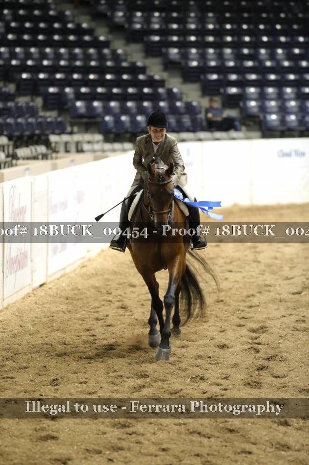 Proof 18BUCK_00454