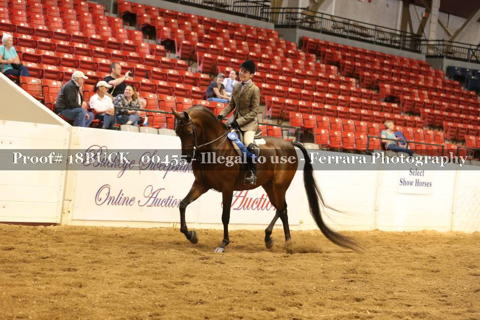 Proof 18BUCK_00455