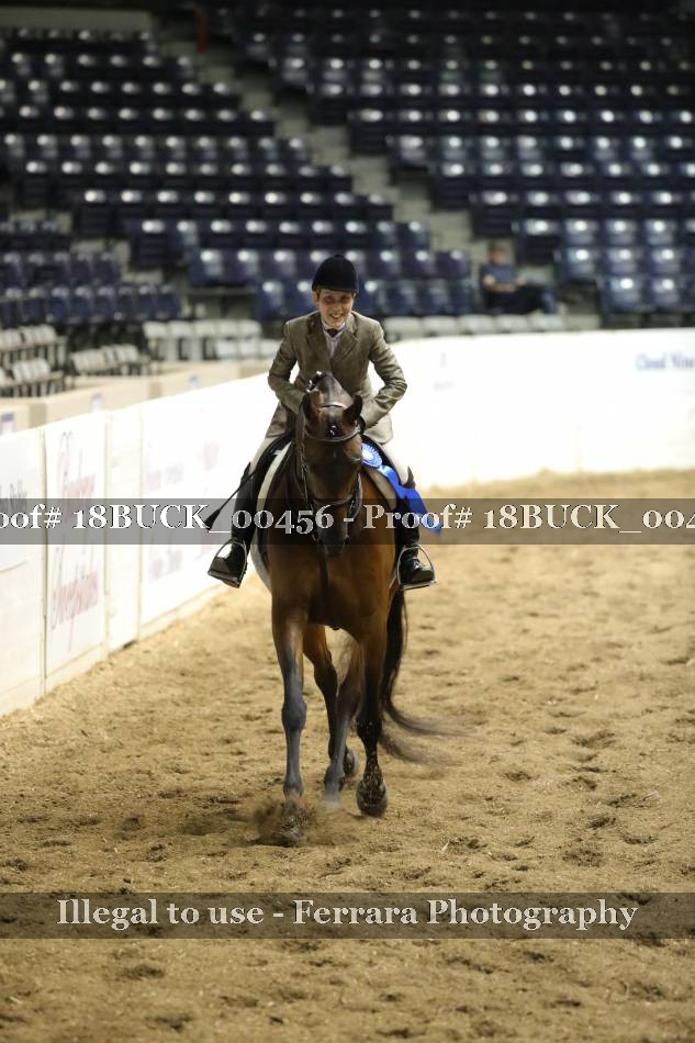Proof 18BUCK_00456