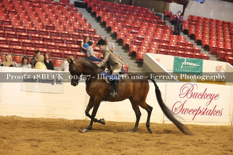 Proof 18BUCK_00457