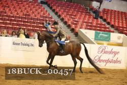18BUCK_00457 proof