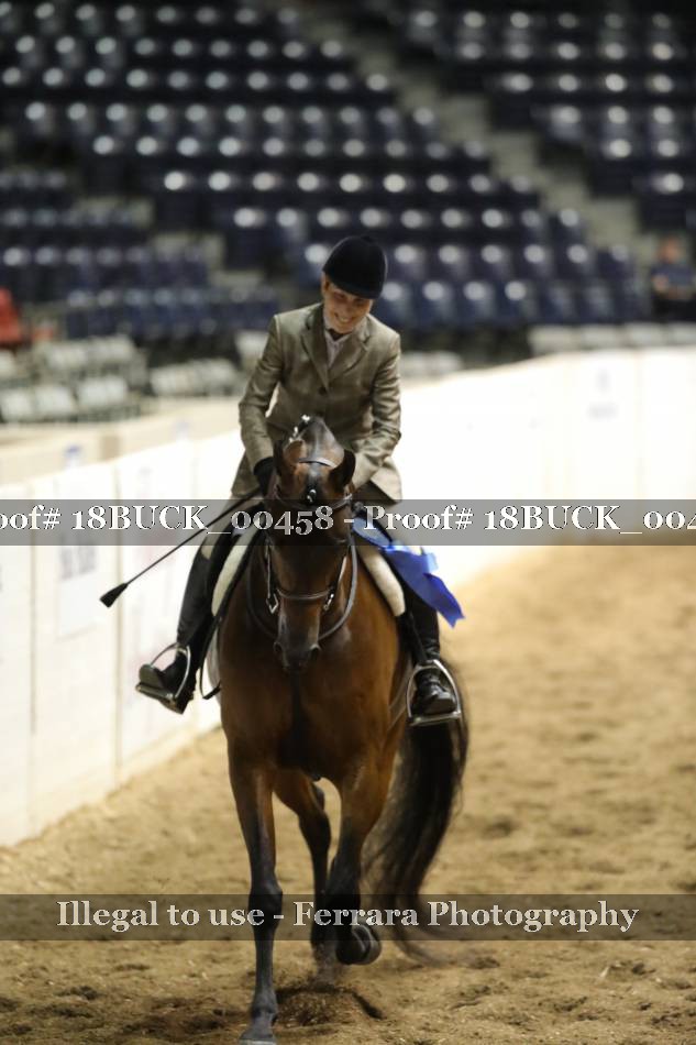 Proof 18BUCK_00458