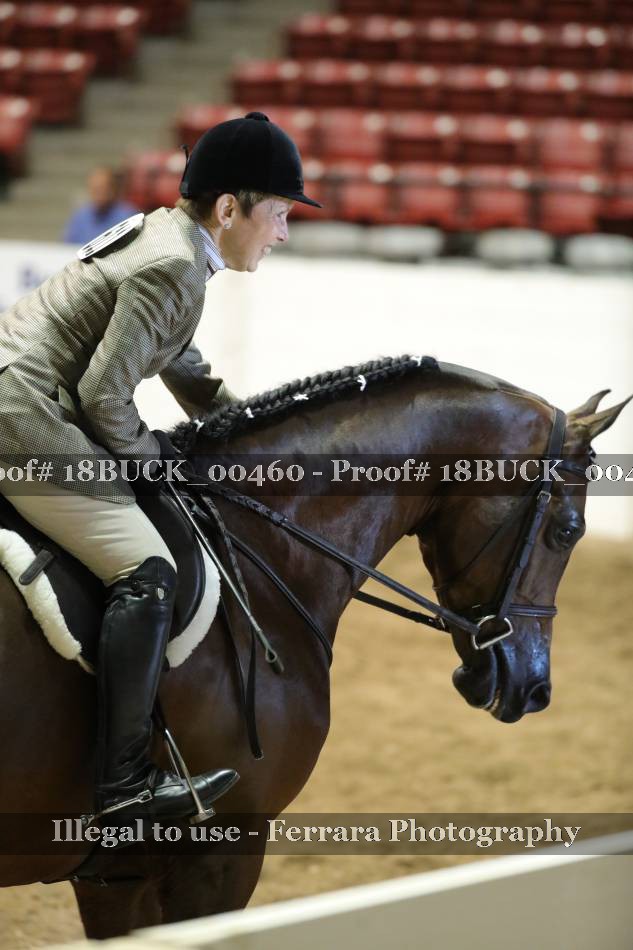 Proof 18BUCK_00460