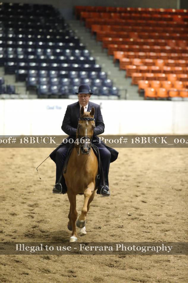 Proof 18BUCK_00462