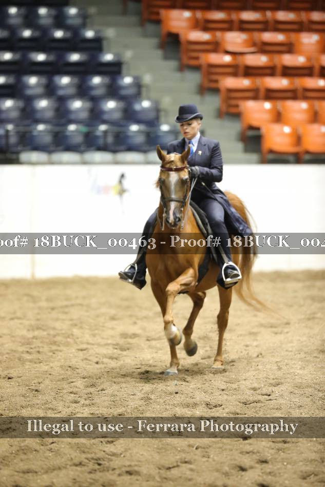Proof 18BUCK_00463