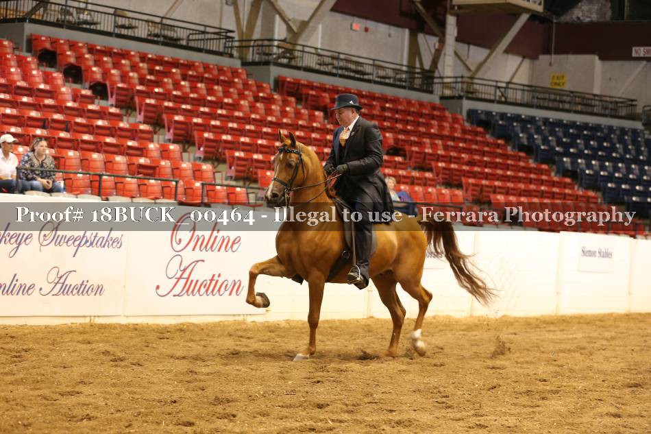 Proof 18BUCK_00464