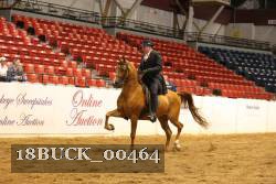 18BUCK_00464 proof