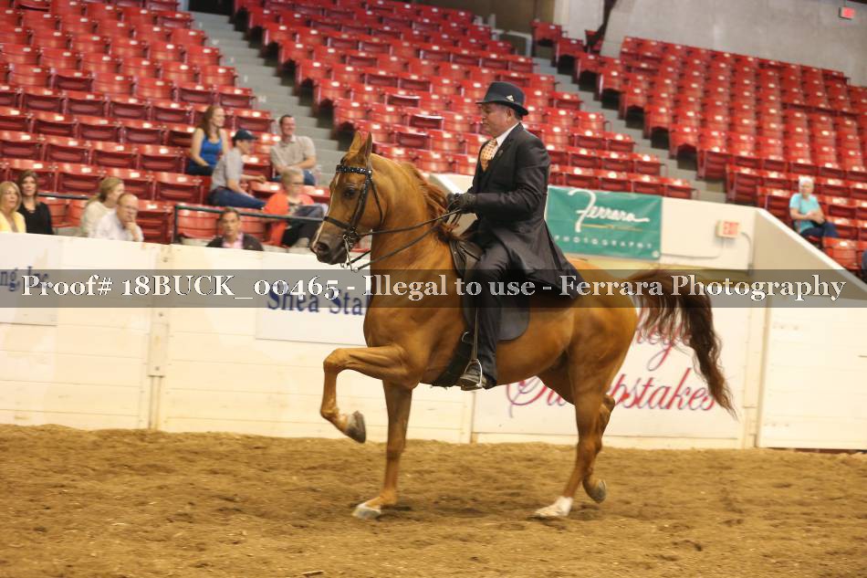 Proof 18BUCK_00465