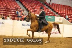 18BUCK_00465 proof