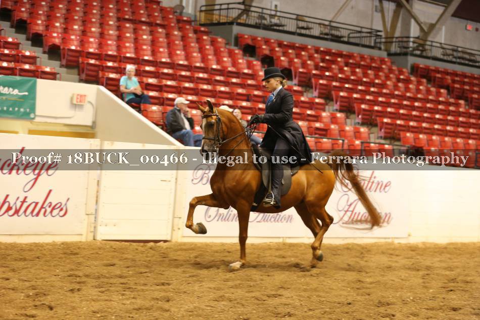 Proof 18BUCK_00466
