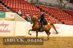 18BUCK_00466 proof