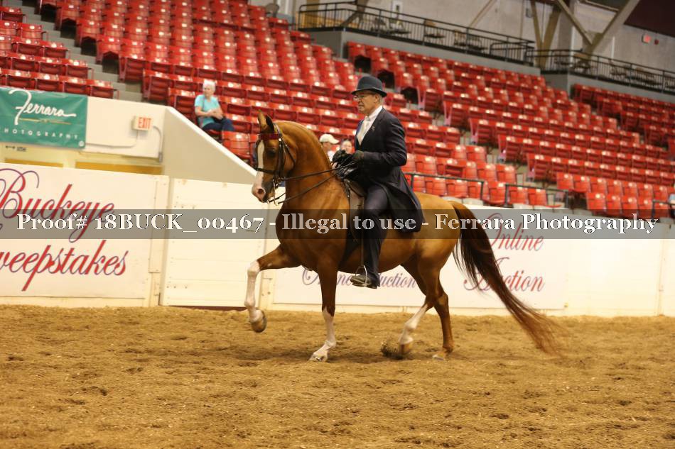 Proof 18BUCK_00467