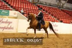 18BUCK_00467 proof