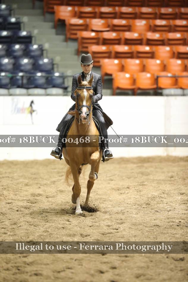 Proof 18BUCK_00468