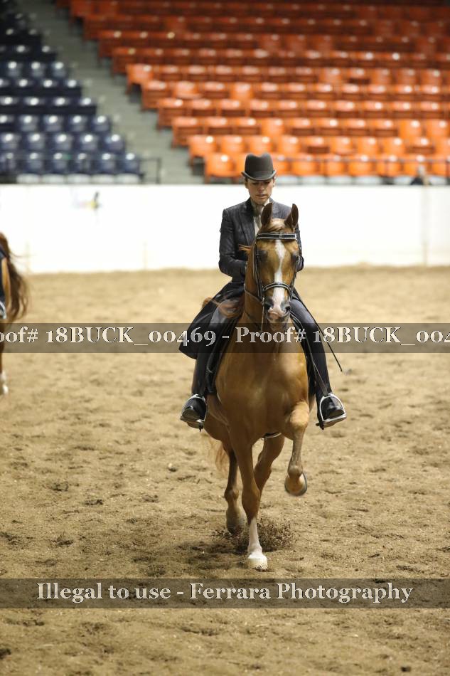 Proof 18BUCK_00469
