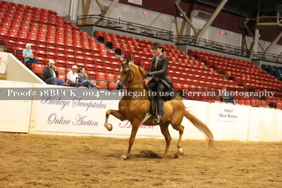 Proof 18BUCK_00470