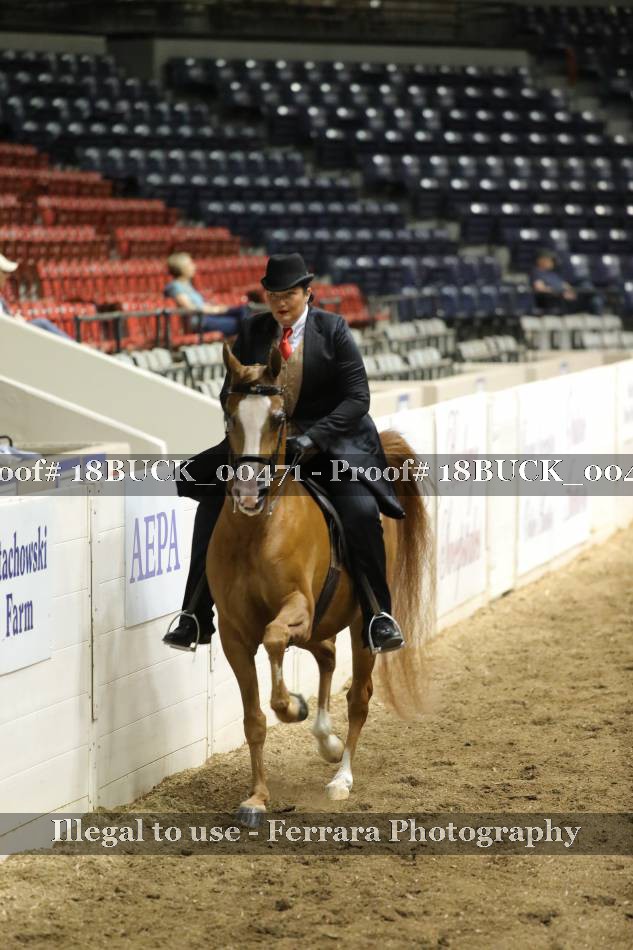 Proof 18BUCK_00471