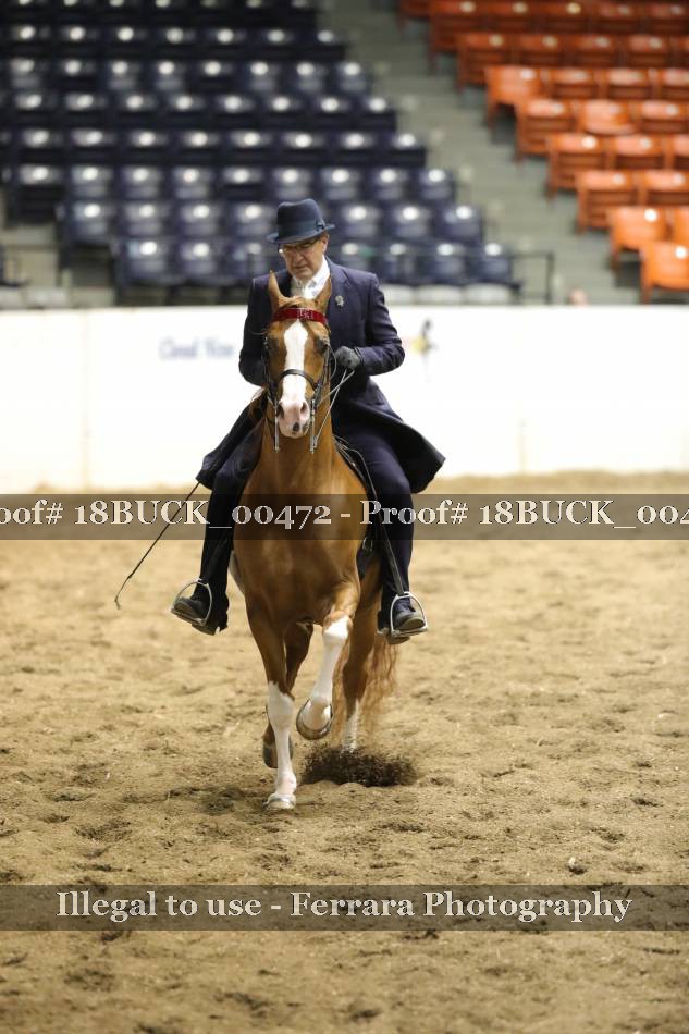 Proof 18BUCK_00472