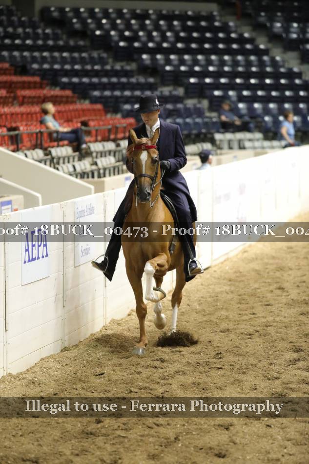 Proof 18BUCK_00473