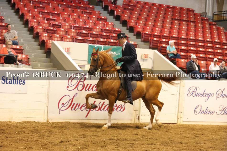 Proof 18BUCK_00474