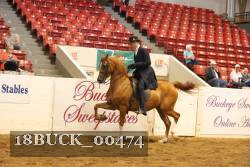 18BUCK_00474 proof