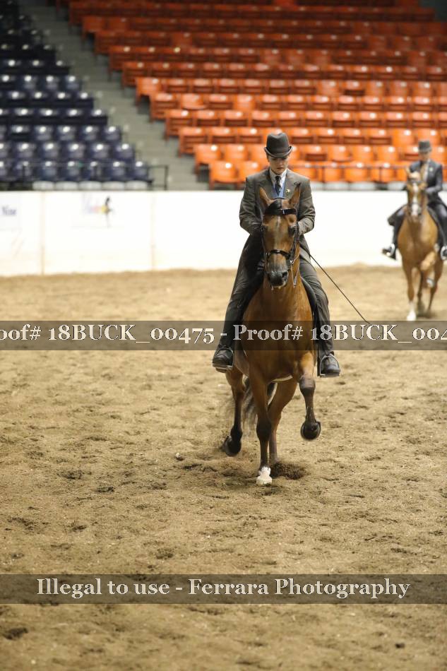 Proof 18BUCK_00475