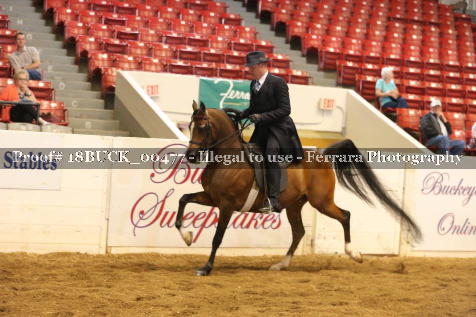 Proof 18BUCK_00477