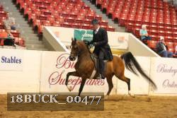 18BUCK_00477 proof