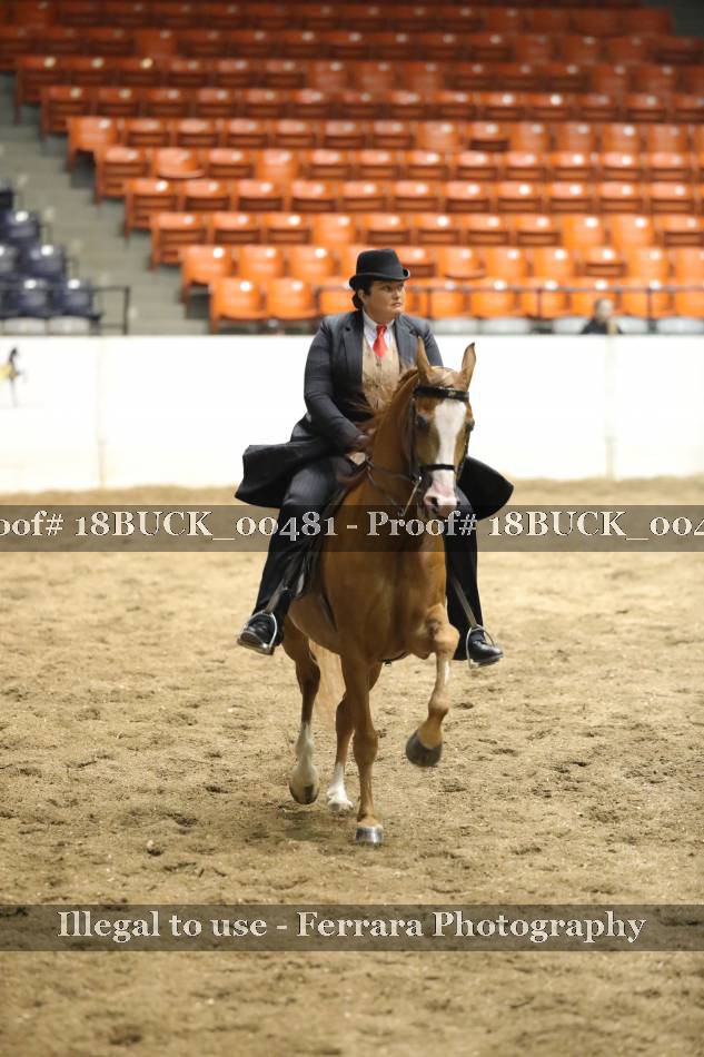 Proof 18BUCK_00481