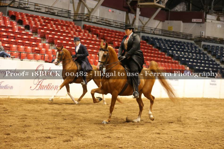 Proof 18BUCK_00482