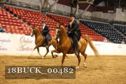 18BUCK_00482 proof