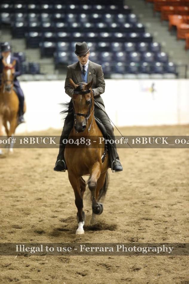 Proof 18BUCK_00483