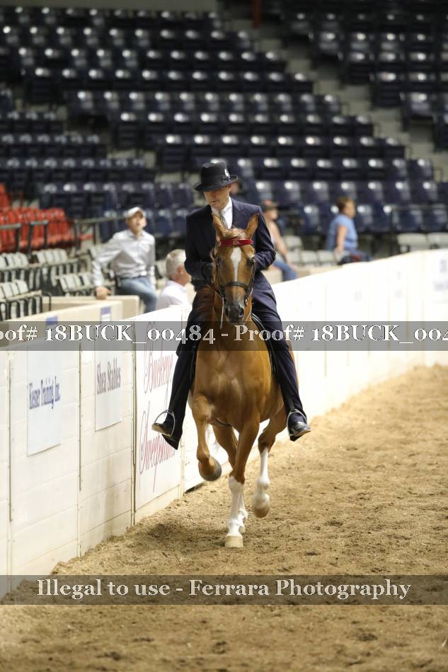 Proof 18BUCK_00484