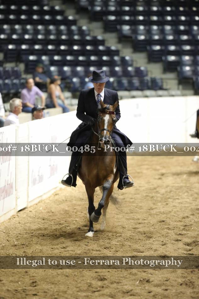 Proof 18BUCK_00485