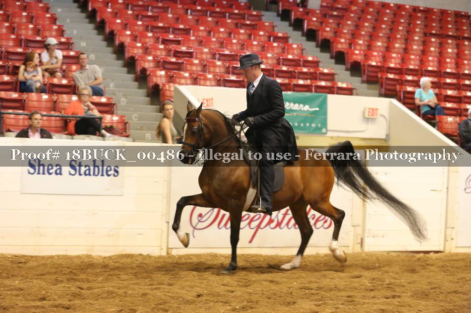 Proof 18BUCK_00486