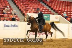 18BUCK_00486 proof