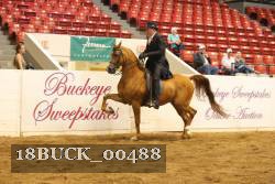 18BUCK_00488 proof