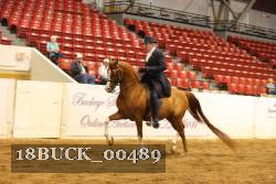 18BUCK_00489 proof