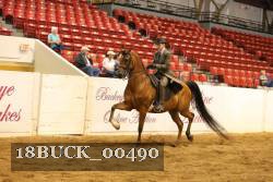 18BUCK_00490 proof