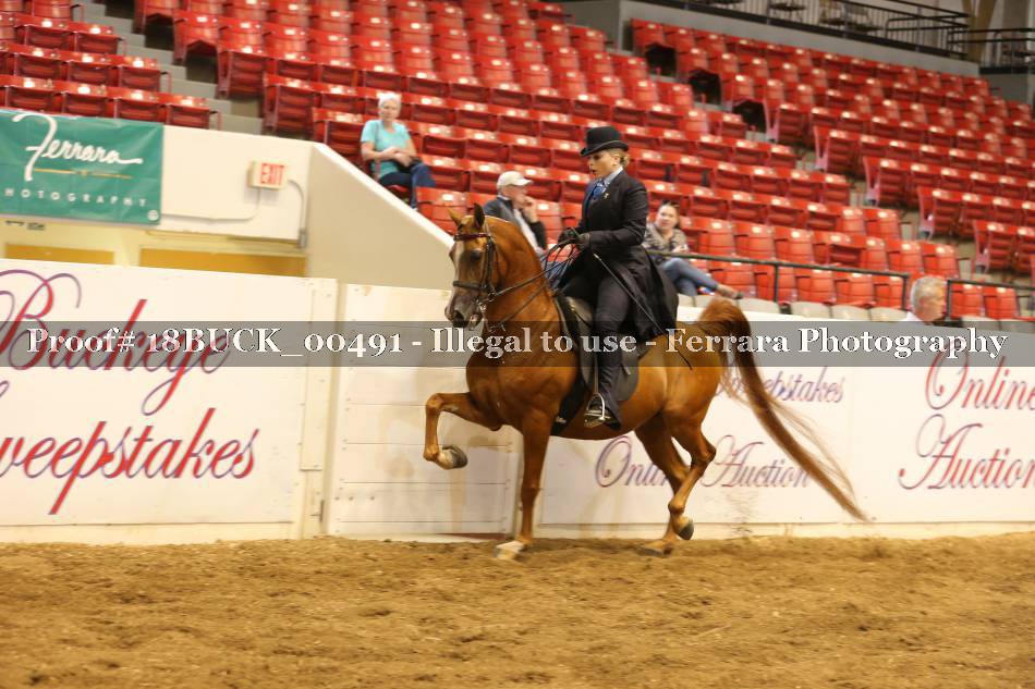Proof 18BUCK_00491