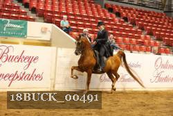 18BUCK_00491 proof