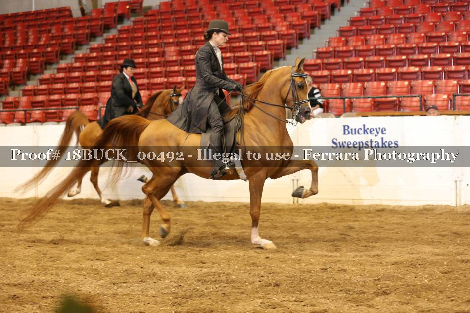 Proof 18BUCK_00492