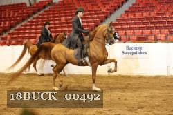 18BUCK_00492 proof
